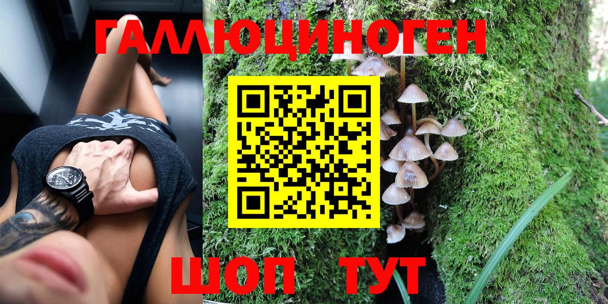 Галлюциногенные грибы Psilocybe  купить наркоту  Городец  Вход с VPN  Псилоцибиновые грибы мухоморы 