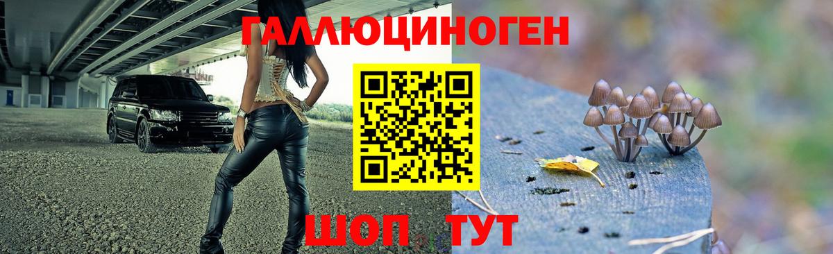 Галлюциногенные грибы GOLDEN TEACHER Городец